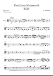 Eine kleine Nachtmusik