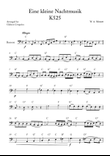 Eine kleine Nachtmusik