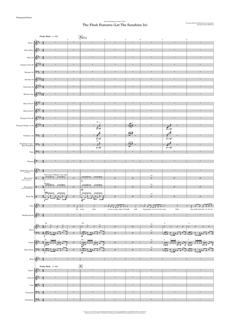 The Flesh Failures/eyes Look Your Last/let The Sunshine In Full Orchestra scores gallery preview page 1