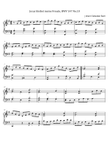 Jesus bleibet meine Freude BWV 147 No.10 - Johann Sebastian Bach