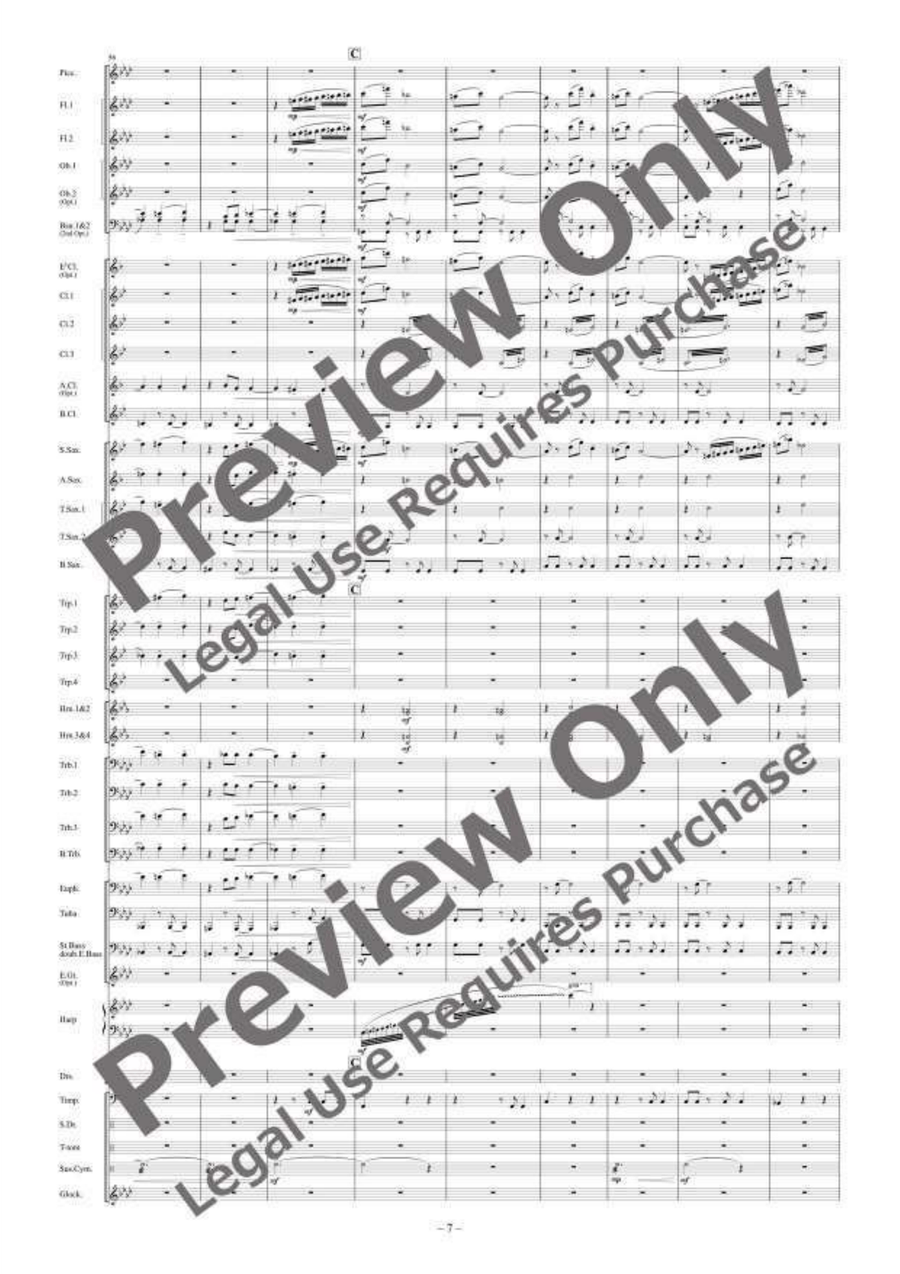Dreams Unlimited Dreams Unlimited Concert Band scores gallery preview page 8