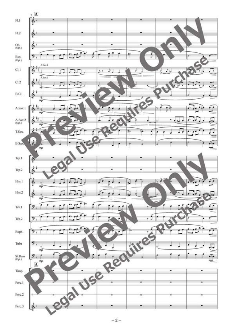 Foster Rhapsody for Wind Ensemble Concert Band scores gallery preview page 3