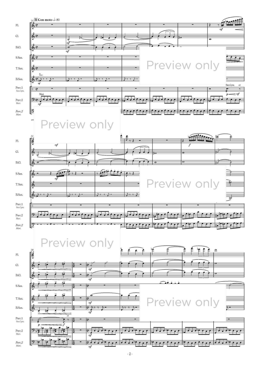 Ryouran - Woodwind & Percussion Octet Chamber Music scores gallery preview page 3
