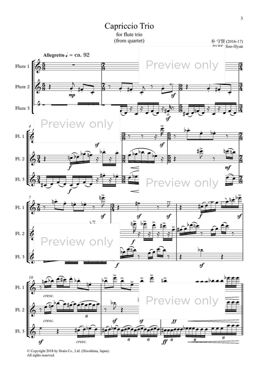Capriccio Trio - Flute Trio Flute Trio scores gallery preview page 2