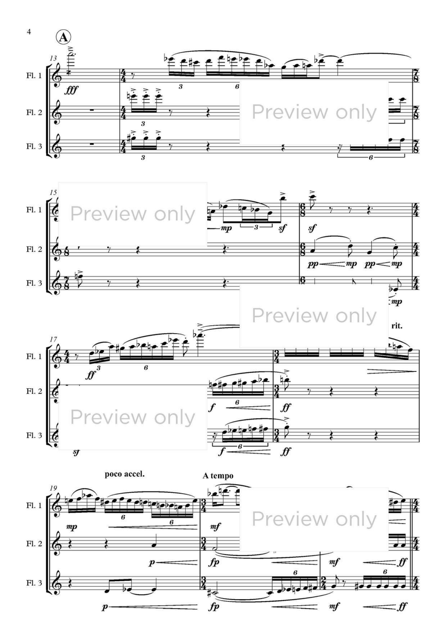 Capriccio Trio - Flute Trio Flute Trio scores gallery preview page 3