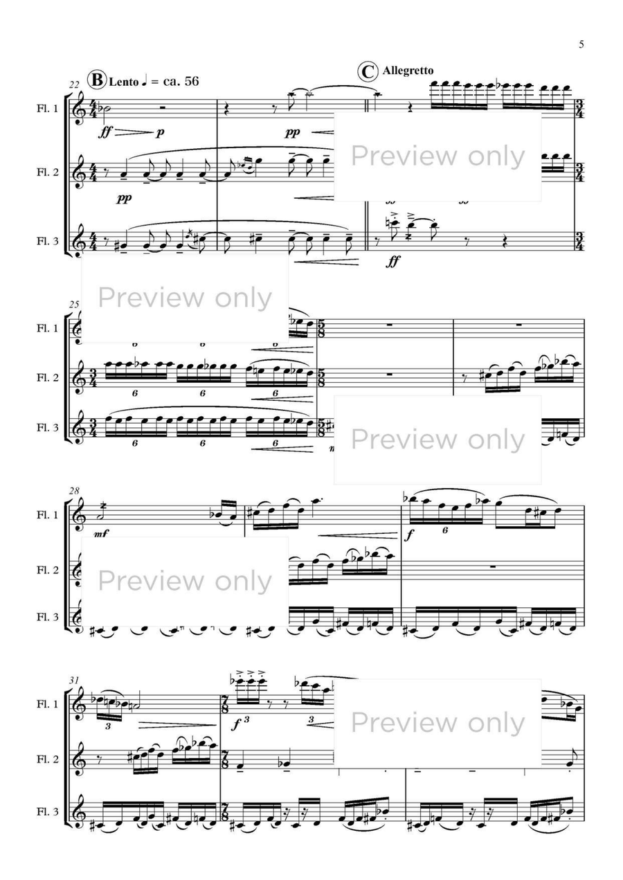 Capriccio Trio - Flute Trio Flute Trio scores gallery preview page 4