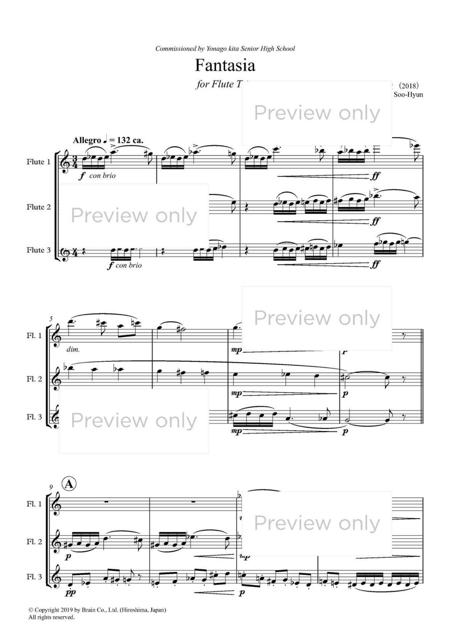 Fantasia for Flute Trio Fantasia for Flute Trio Flute Trio scores gallery preview page 2