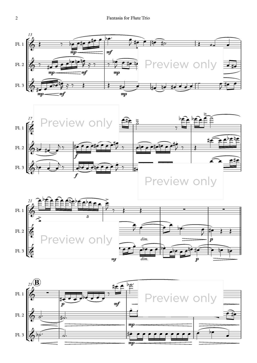 Fantasia for Flute Trio Fantasia for Flute Trio Flute Trio scores gallery preview page 3