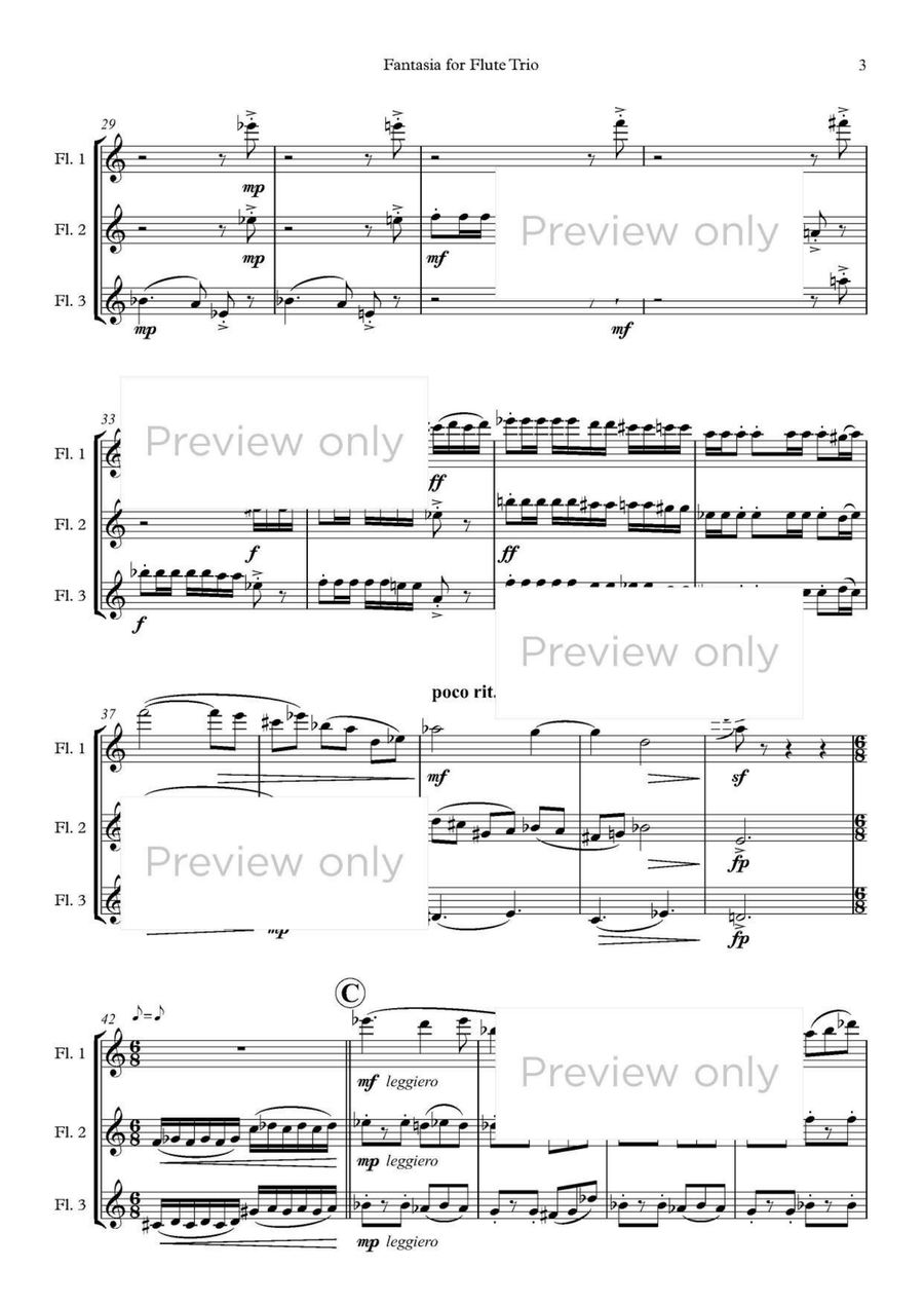 Fantasia for Flute Trio Fantasia for Flute Trio Flute Trio scores gallery preview page 4