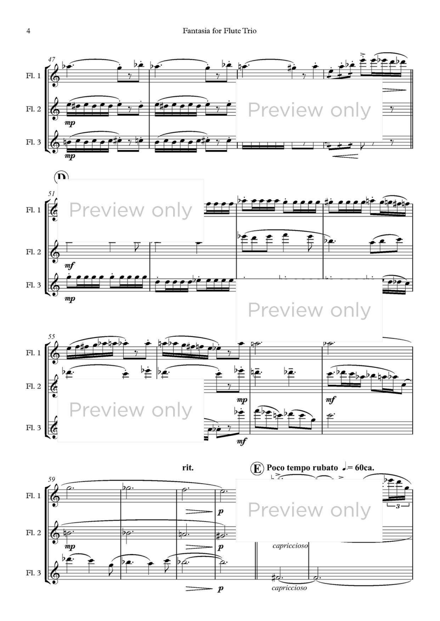 Fantasia for Flute Trio Fantasia for Flute Trio Flute Trio scores gallery preview page 5