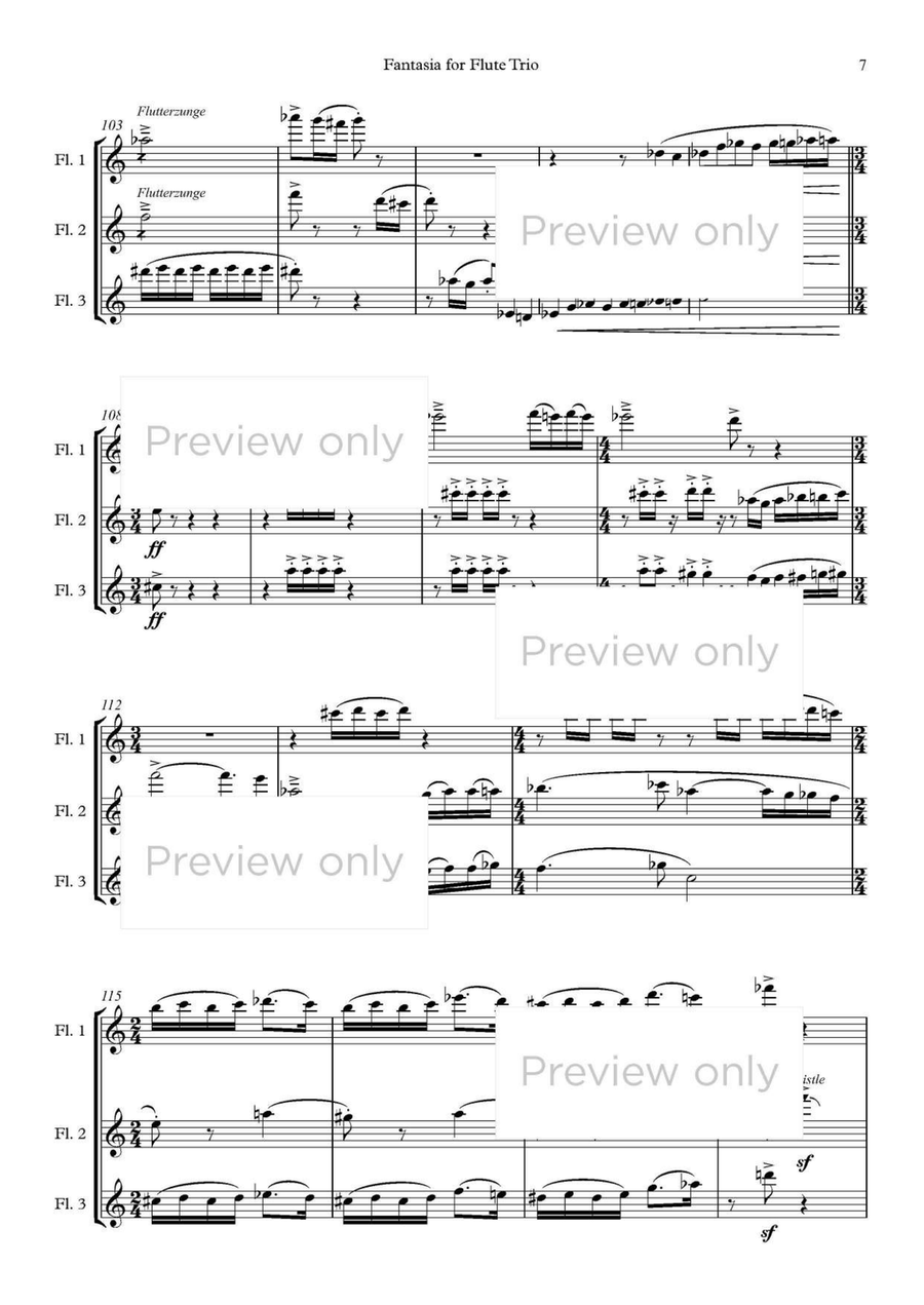 Fantasia for Flute Trio Fantasia for Flute Trio Flute Trio scores gallery preview page 8
