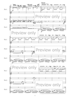 DIVERTIMENTO - Percussion Trio Marimba scores gallery preview page 5