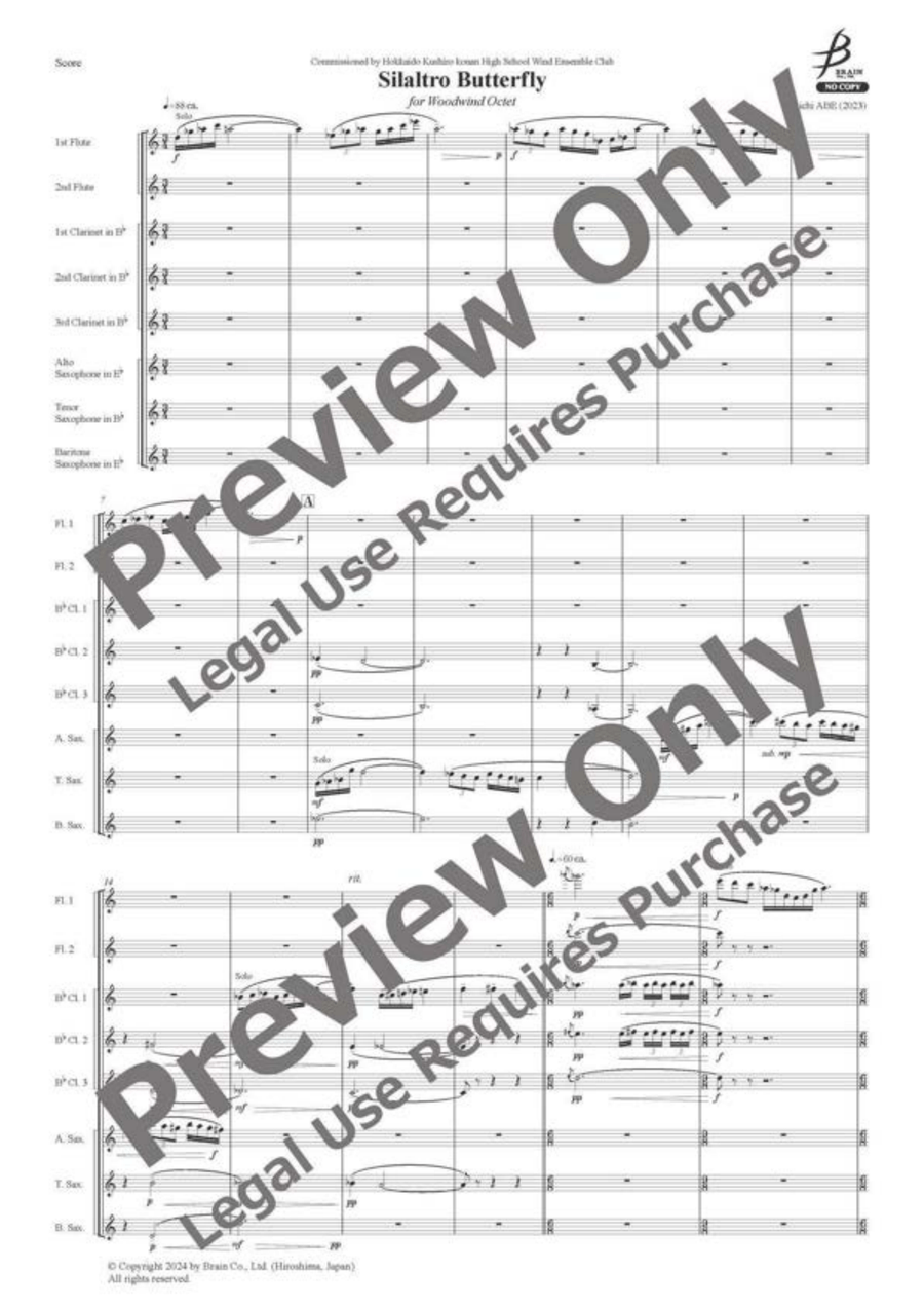 Silaltro Butterfly - Woodwind Octet Chamber Music - Sheet Music page 2