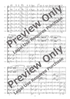 Silaltro Butterfly - Woodwind Octet Chamber Music scores gallery preview page 5
