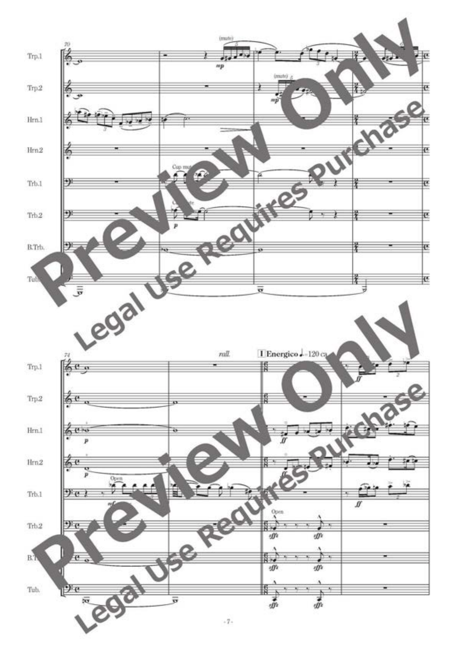 Danza Struttura II - Brass Octet Horn scores gallery preview page 8