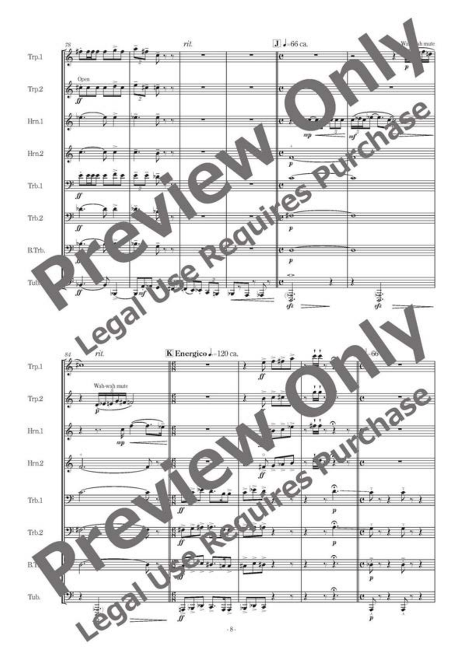 Danza Struttura II - Brass Octet Horn scores gallery preview page 9