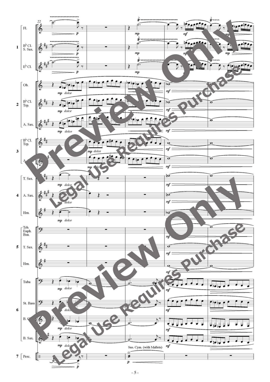 Makam Dance - Flexible Septet B-Flat Clarinet scores gallery preview page 6