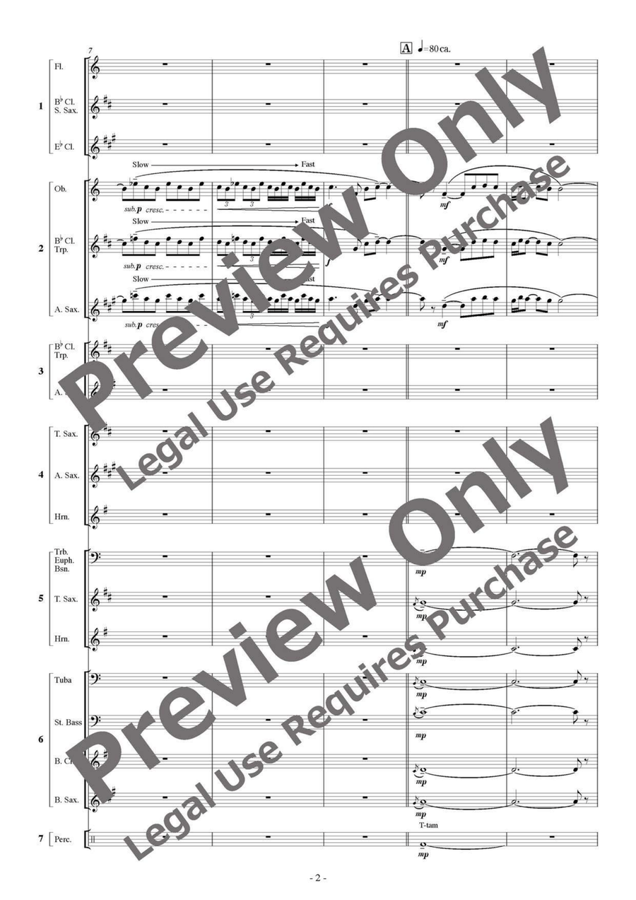 Makam Dance - Flexible Septet B-Flat Clarinet scores gallery preview page 3