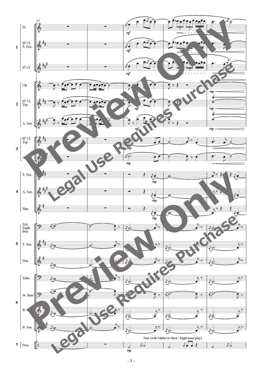 Makam Dance - Flexible Septet B-Flat Clarinet scores gallery preview page 4