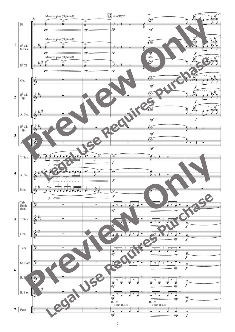 Makam Dance - Flexible Septet B-Flat Clarinet scores gallery preview page 8