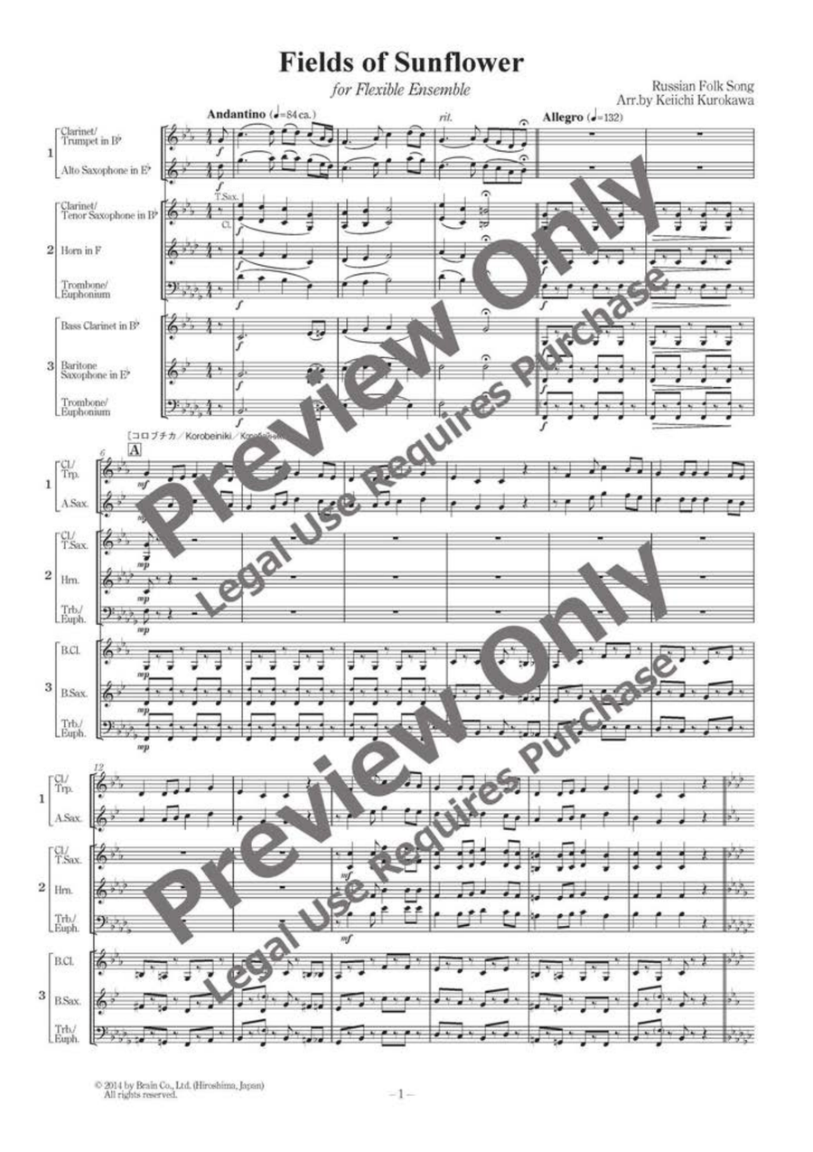 Flelds of Sunflower - Russian Folksong Medley - Flexible Trio B-Flat Clarinet scores gallery preview page 2