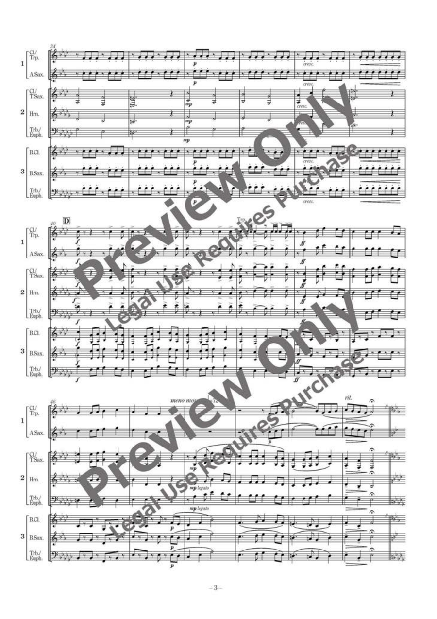 Flelds of Sunflower - Russian Folksong Medley - Flexible Trio B-Flat Clarinet scores gallery preview page 4
