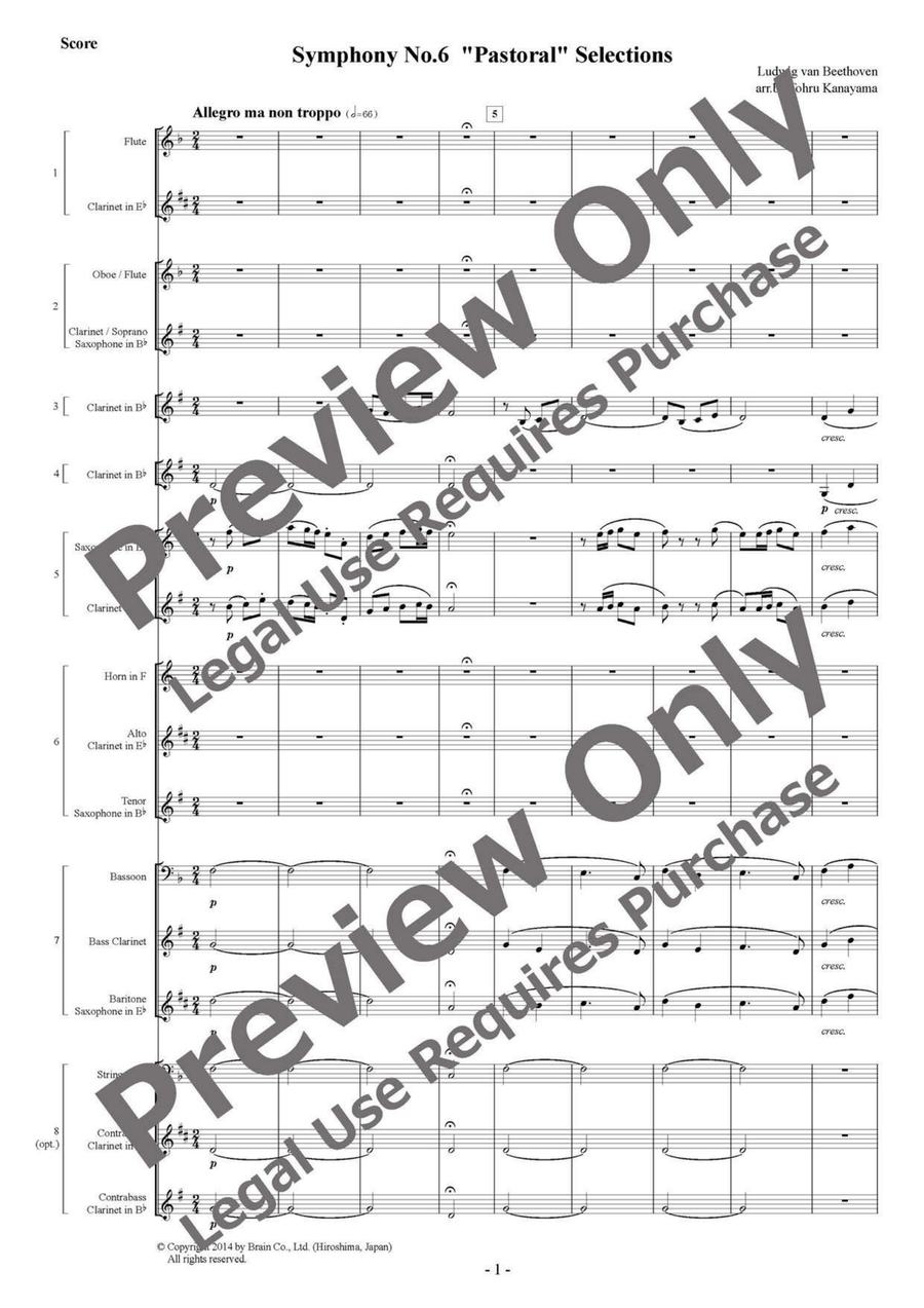 Symphony No. 6 Pastoral Selections - Flexible Woodwind Septet/Octet Chamber Music scores gallery preview page 2