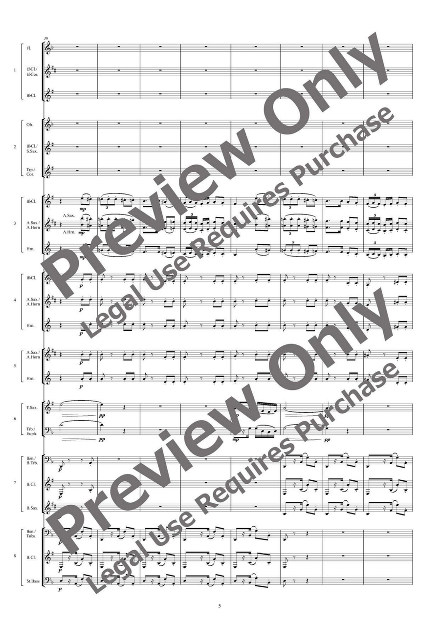 Carmen Fantasy - Flexible Octet B-Flat Clarinet scores gallery preview page 6