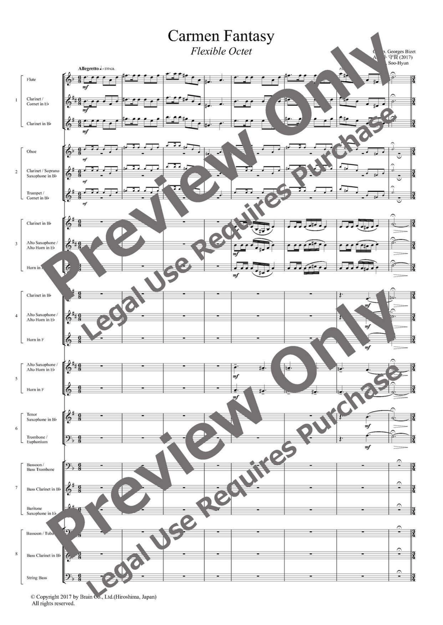 Carmen Fantasy - Flexible Octet B-Flat Clarinet scores gallery preview page 2