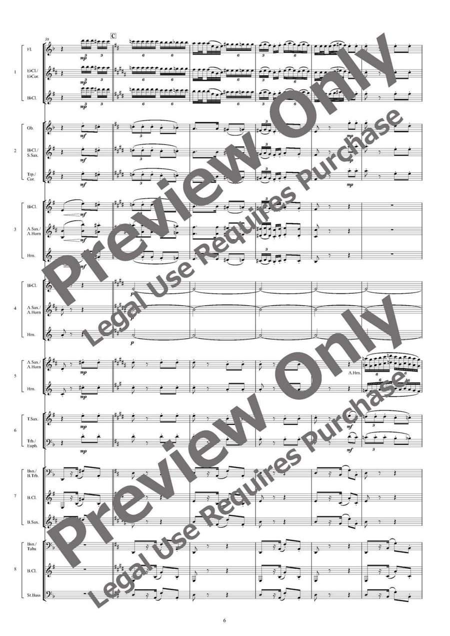 Carmen Fantasy - Flexible Octet B-Flat Clarinet scores gallery preview page 7
