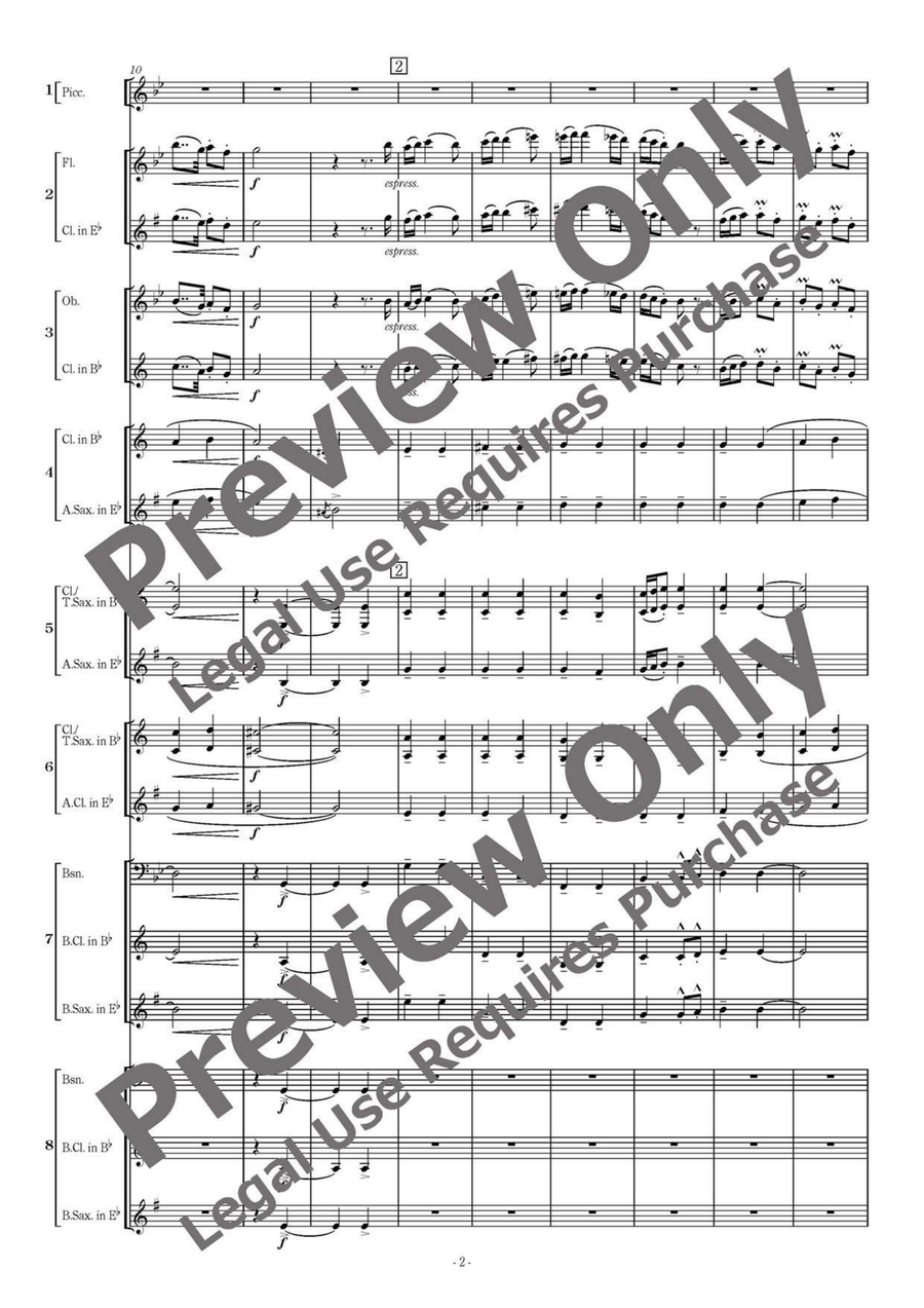 Romanian Folk Dances - Flexible Woodwind Sextet-Octet Chamber Music scores gallery preview page 3