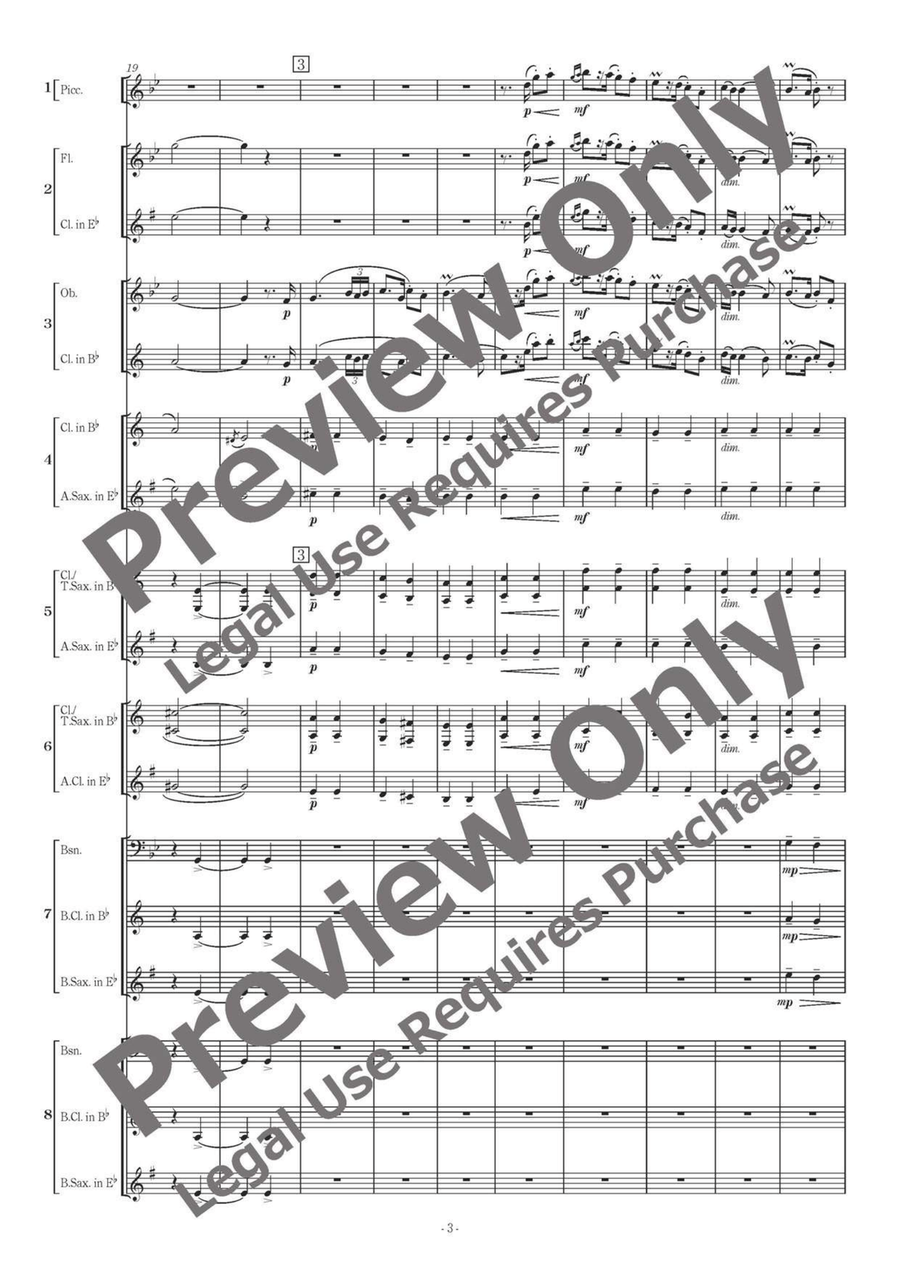 Romanian Folk Dances - Flexible Woodwind Sextet-Octet Chamber Music scores gallery preview page 4
