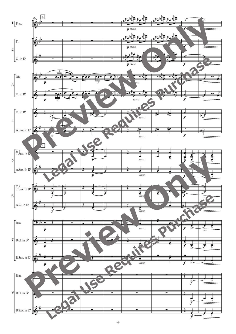 Romanian Folk Dances - Flexible Woodwind Sextet-Octet Chamber Music scores gallery preview page 5