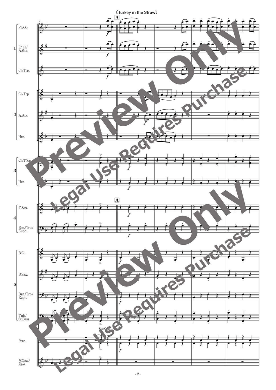 American Folksong Fantasy I - Flexible Band 5 Parts & Percussion Bassoon scores gallery preview page 3