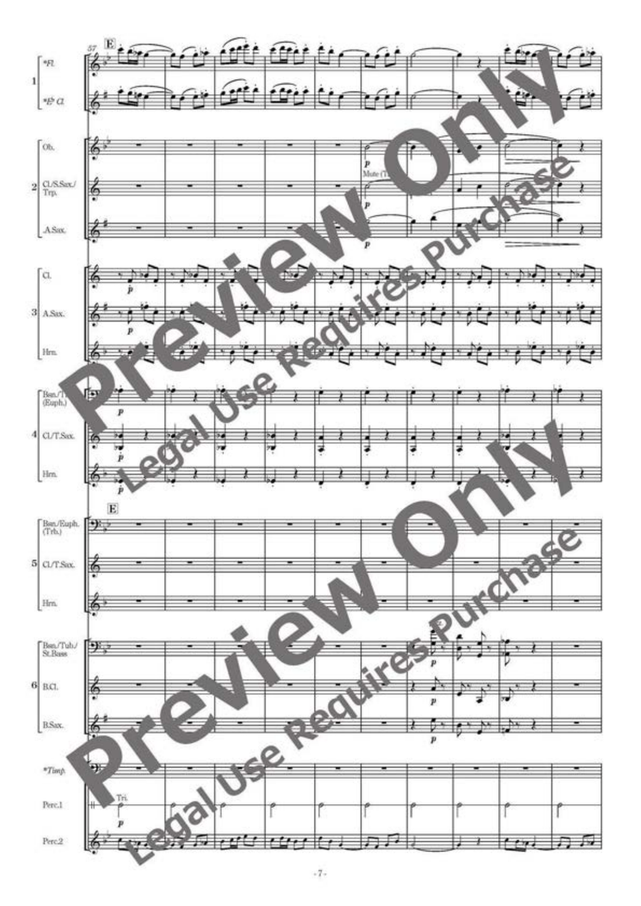 Neverland Suite - Flexible Band 5-6 Parts & Percussion Bassoon scores gallery preview page 8