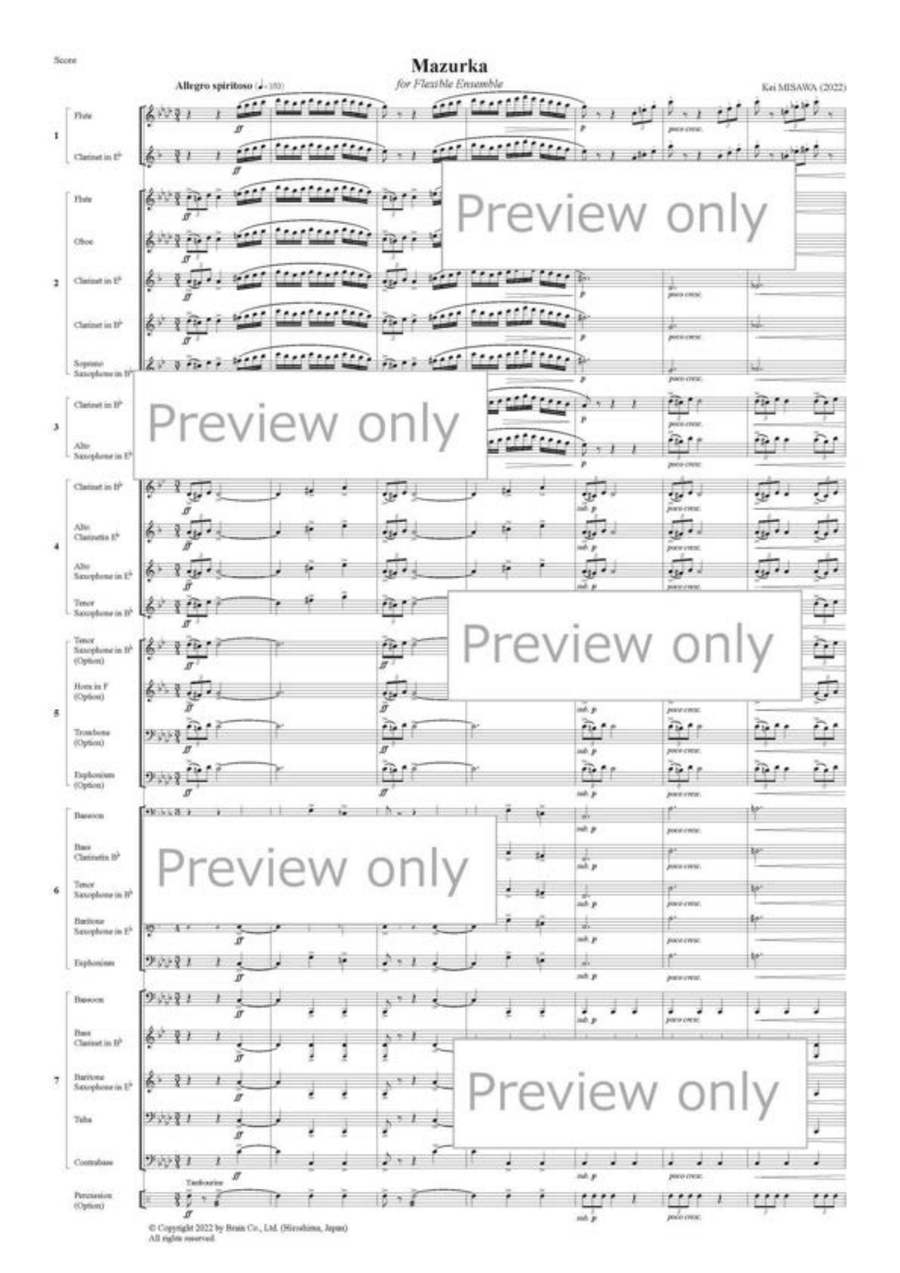 Mazurka for Flexible Ensemble B-Flat Clarinet scores gallery preview page 2