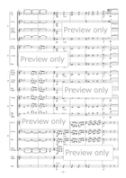 Steam Whistle Echoes for Flexible Ensemble Bassoon scores gallery preview page 3