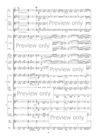 Steam Whistle Echoes for Flexible Ensemble Bassoon scores gallery preview page 5
