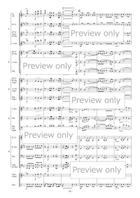 Steam Whistle Echoes for Flexible Ensemble Bassoon scores gallery preview page 9