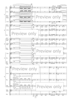 Steam Whistle Echoes for Flexible Ensemble Bassoon scores gallery preview page 4