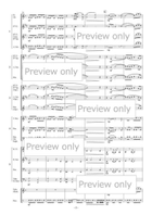 Steam Whistle Echoes for Flexible Ensemble Bassoon scores gallery preview page 6