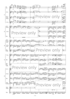 Steam Whistle Echoes for Flexible Ensemble Bassoon scores gallery preview page 8