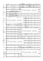 Legacy for Flexible Ensemble B-Flat Clarinet scores gallery preview page 4