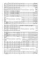 Dancing in the wind-KAZE-NO-MAI - Flexible Band 6 Parts & Percussion B-Flat Clarinet scores gallery preview page 8