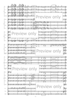 Dancing in the wind-KAZE-NO-MAI - Flexible Band 6 Parts & Percussion B-Flat Clarinet scores gallery preview page 4