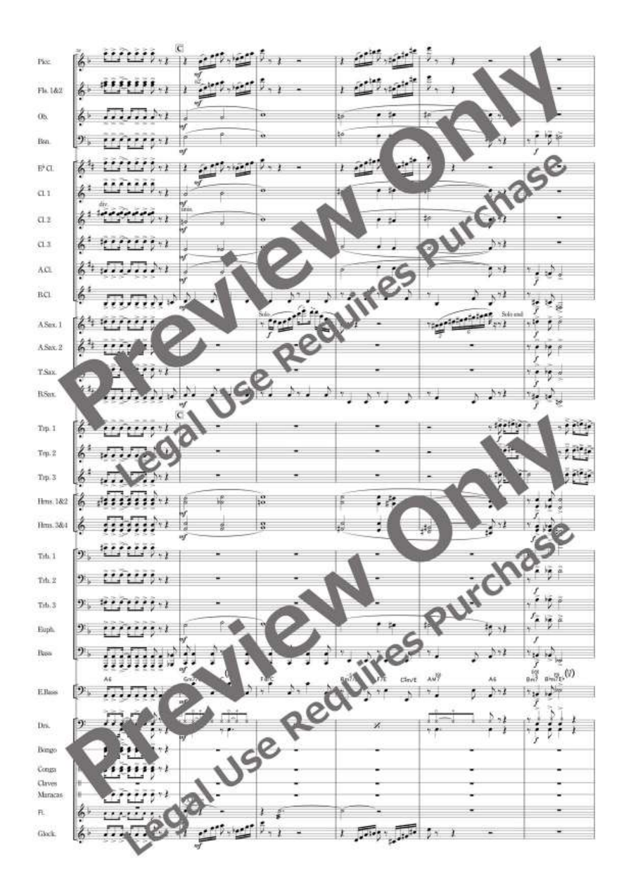 Viva Massima Viva Massima Concert Band scores gallery preview page 8