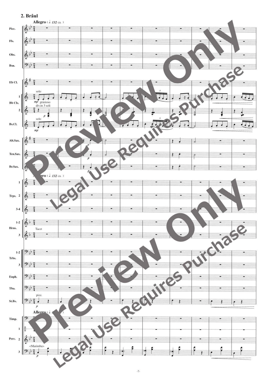 Jocuri Poporale Romanesti Concert Band scores gallery preview page 8