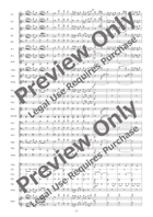 The Merry Widow Selections [Reduced Instrumentation] Concert Band scores gallery preview page 3