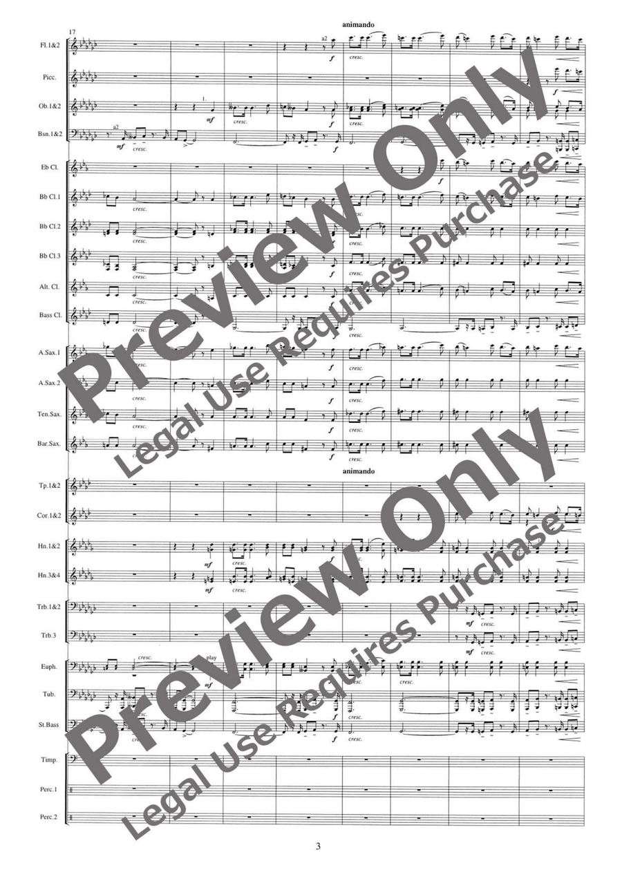 Huntingtower Huntingtower Concert Band scores gallery preview page 4