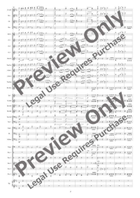 Der Vogelhändler (The Bird Seller) [Full Instrumentation] Concert Band scores gallery preview page 8